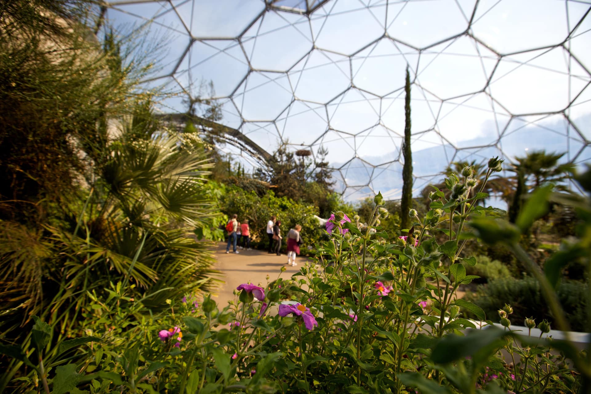 The Eden Project, located in Cornwall UK, is a one-of-a-kind project that set the tone for the next generation of sustainable botanical and zoo projects.