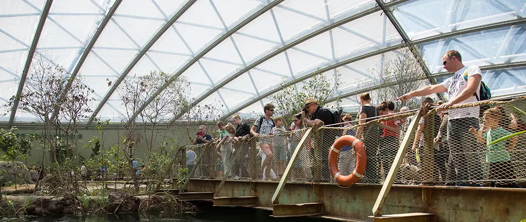 The energy efficient Mangrove Dome, with an area of 3,000 m², creates a new natural environment for various animals and plants.