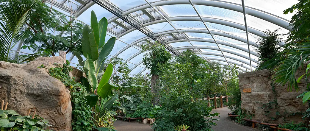 Die reiche Artenvielfalt dieses Gebäudes der Zoom Erlebniswelt wird durch das Texlon® ETFE-Dach mit seiner unglaublichen Lichtdurchlässigkeit unterstützt.
