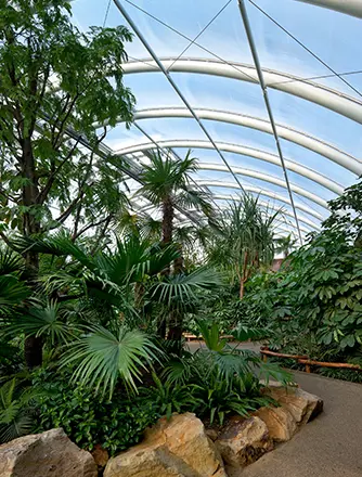 The shape of the enclosure is high enough to allow space for the tall vegetation and trees to grow. 