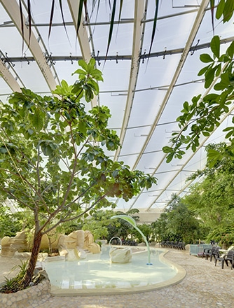 Das natürliche Licht des hohen Texlon® ETFE-Daches spendet eine sonnenverwöhnte Atmosphäre, die das Wachstum tropischer Blätter fördert.