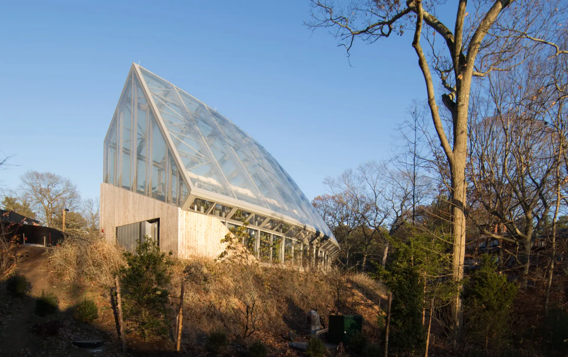 Die Global Flora am Wellesley College hat das Design eines nachhaltigen Gewächshauses mit Texlon ETFE-Dächern und Wänden neu interpretiert.