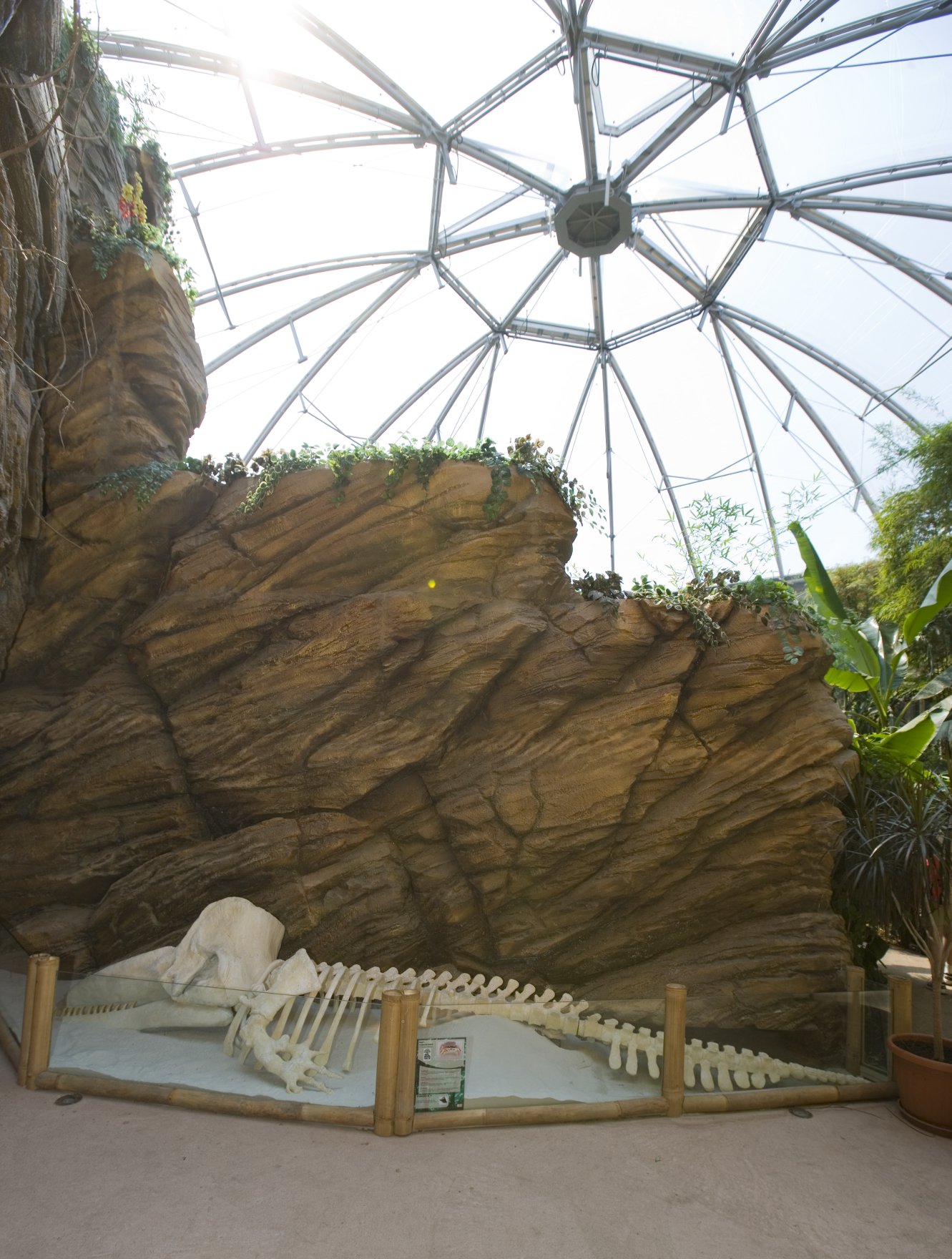 A Texlon® ETFE foil roof forms the structural and design heart of the Green Pyramid, the habitat for Komodo dragons, at Sóstó Zoo.