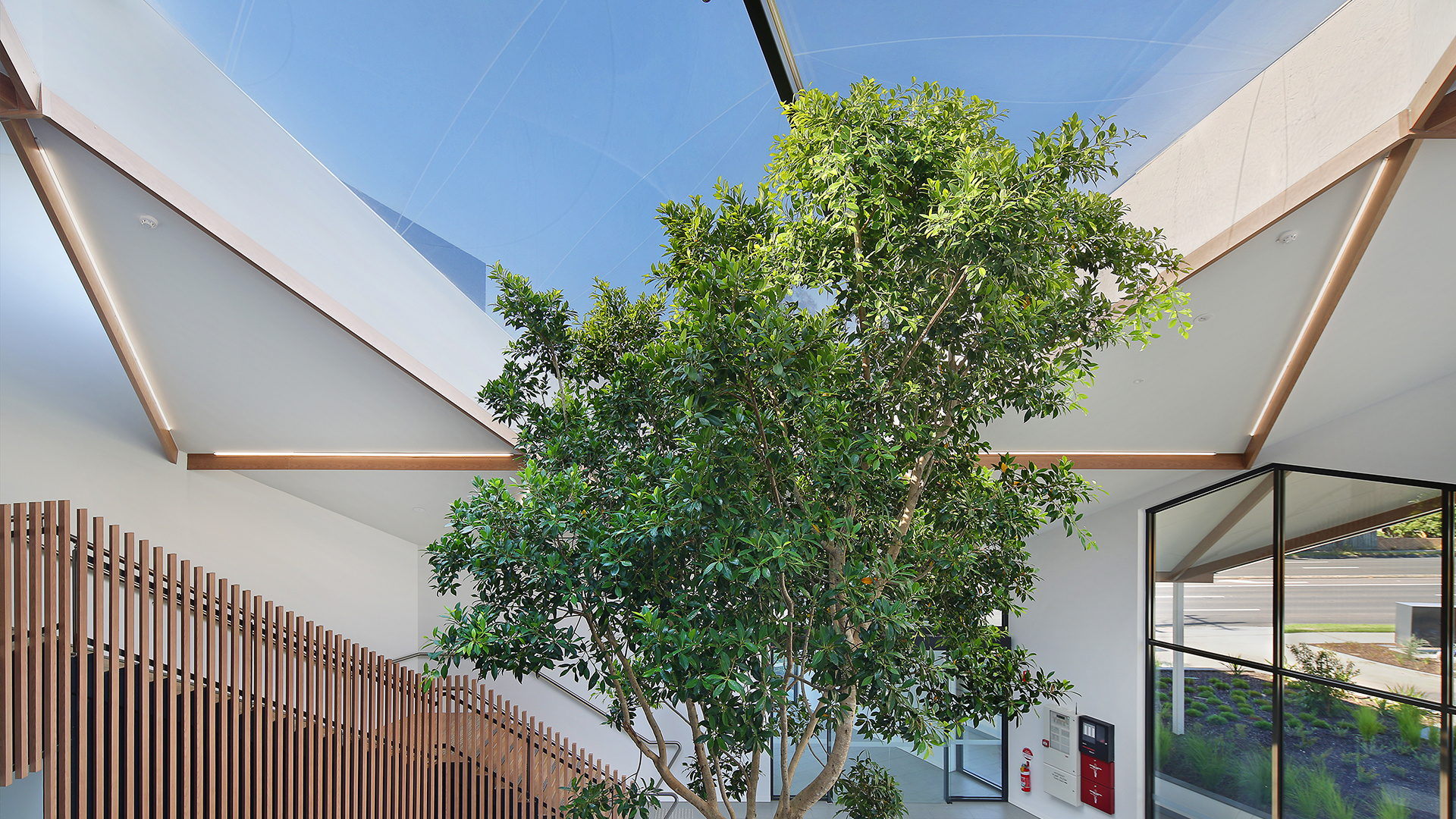  Unser Texlon® ETFE-System, eingebaut in eine leichte Stahlkonstruktion, lässt Pflanzen gedeihen - dank einer hervorragenden UV-Transparenz der ETFE-Kissen.