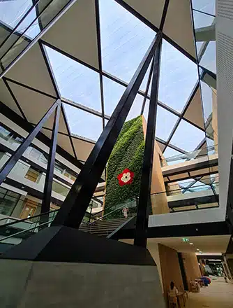 The two roofs cover the atrium of the school's main building.