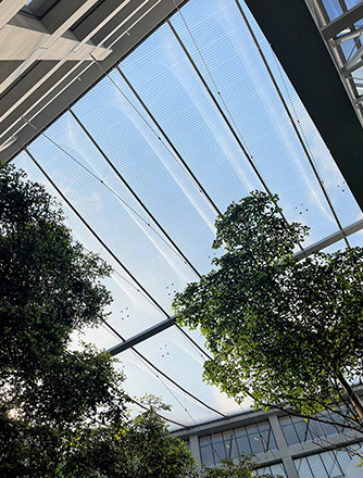 The high transparency and light transmission of the Texlon® ETFE cushions supports the plant growth underneath the roofs.