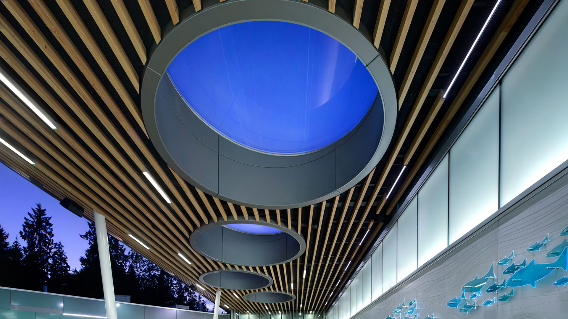 Impressive: Visitors can now enter the Vancouver Aquarium under ETFE skylights.