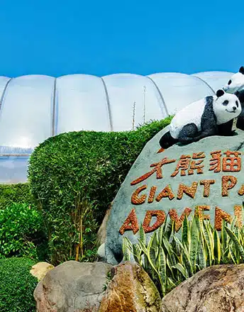 Vector Foiltec's Texlon® ETFE system shapes the Panda House at Ocean Park Hong Kong.